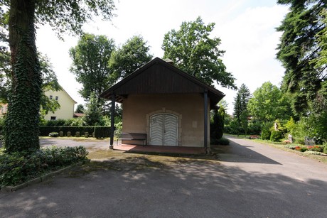 duennwald