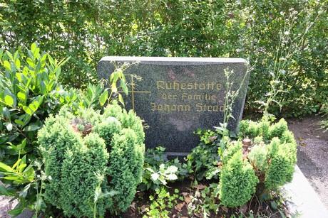 duennwald