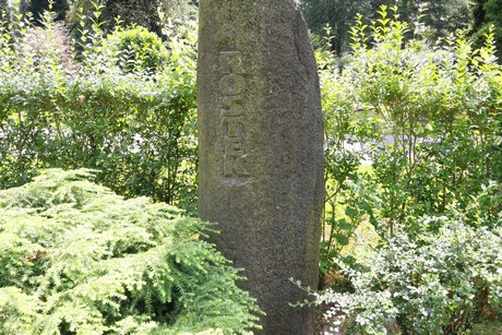 duennwald