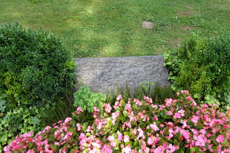 duennwald