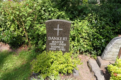 duennwald