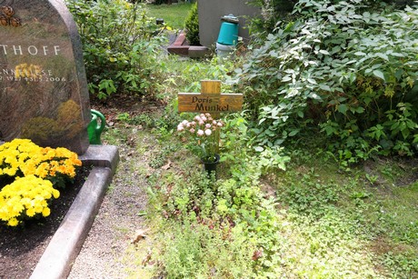duennwald