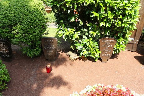 duennwald