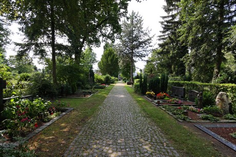 duennwald