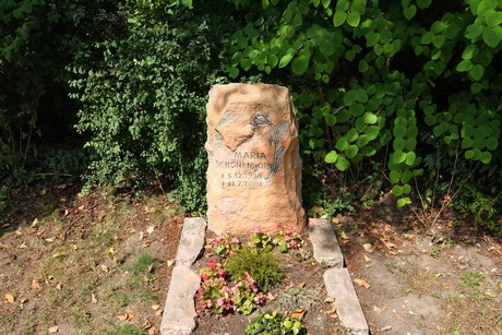 duennwald
