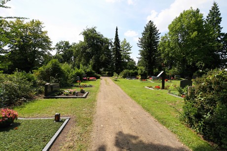 duennwald