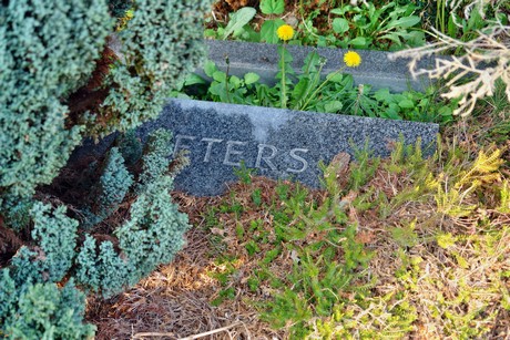 friedhof