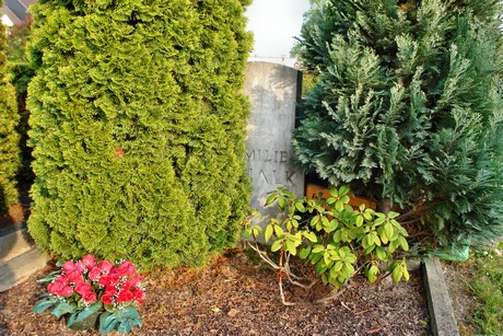 friedhof