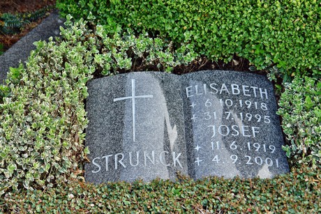 friedhof