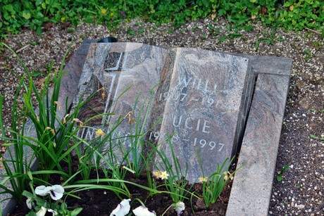 friedhof
