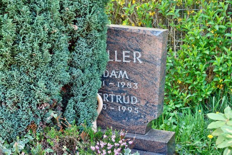 friedhof