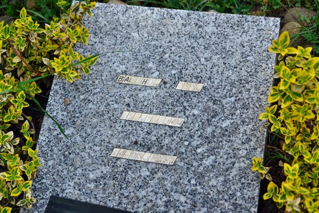 friedhof