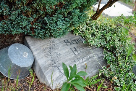 friedhof
