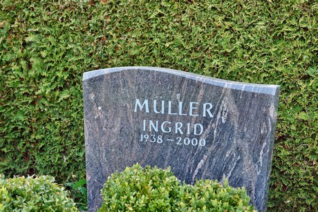 friedhof