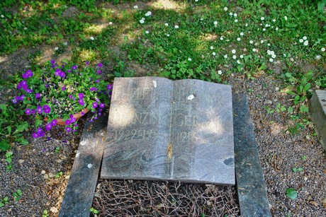 friedhof