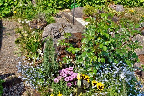 friedhof