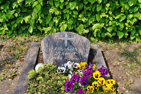 friedhof