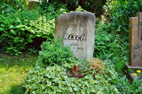 friedhof