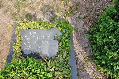 friedhof