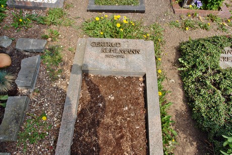 friedhof
