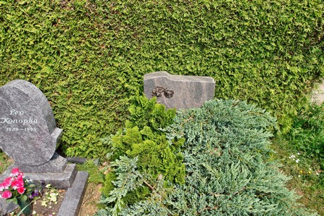 friedhof