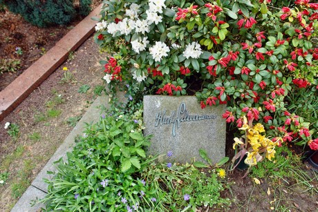 friedhof