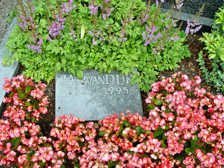 friedhof