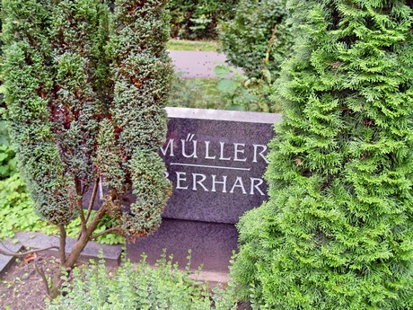 friedhof