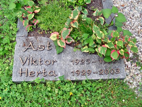 friedhof