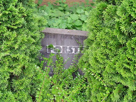 friedhof