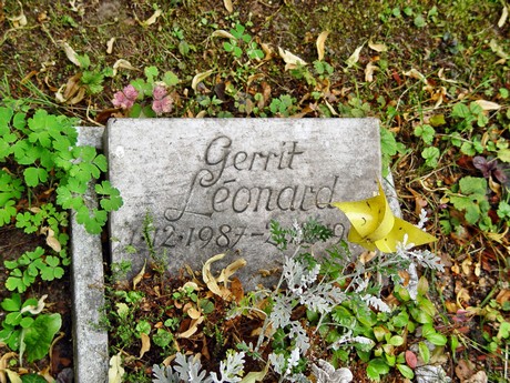 friedhof