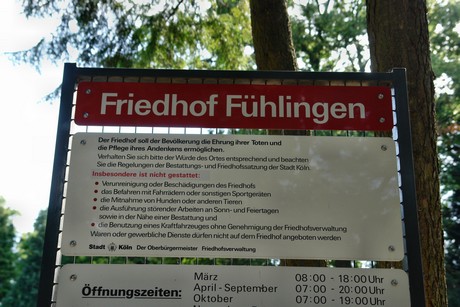 friedhof