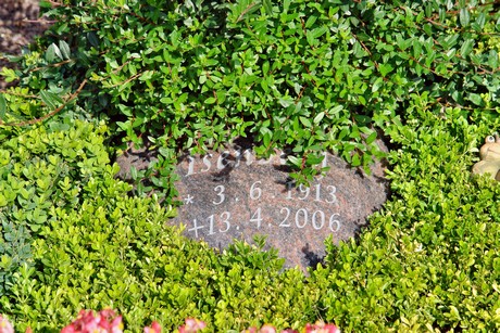 friedhof