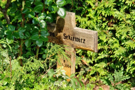 friedhof