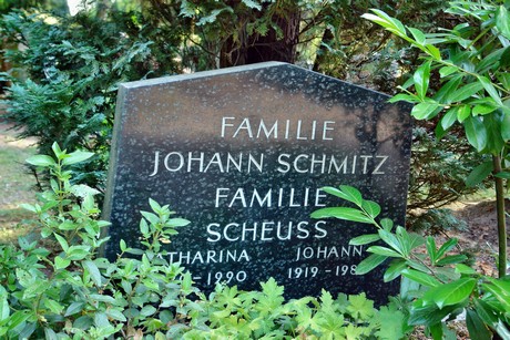 friedhof