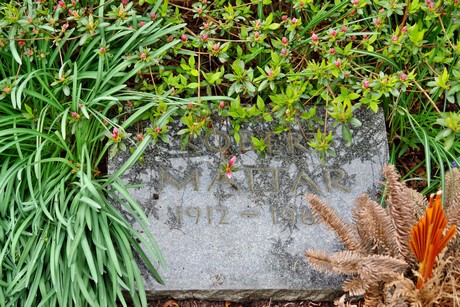 friedhof