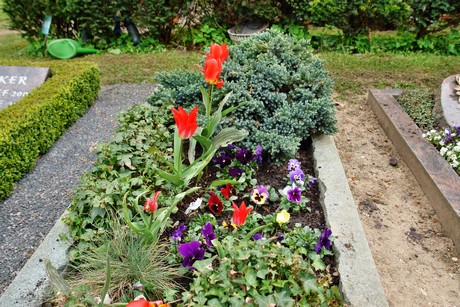 friedhof