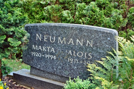 friedhof