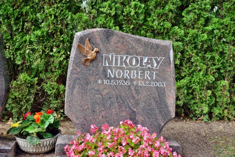 friedhof
