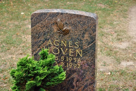 friedhof