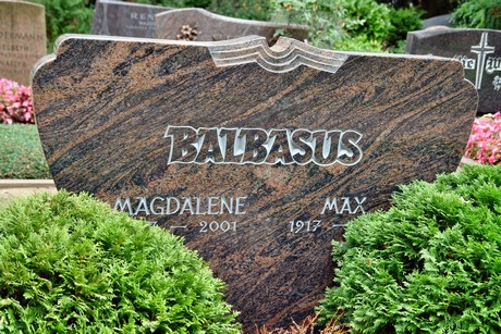friedhof