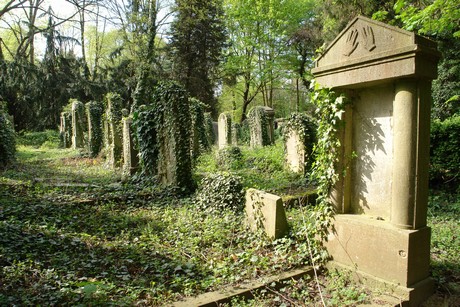 juedischer-friedhof
