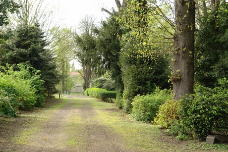 juedischer-friedhof