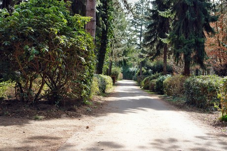 junkersdorf