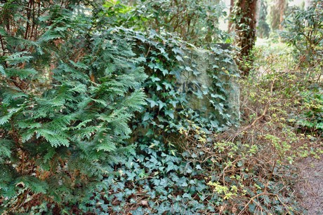 junkersdorf