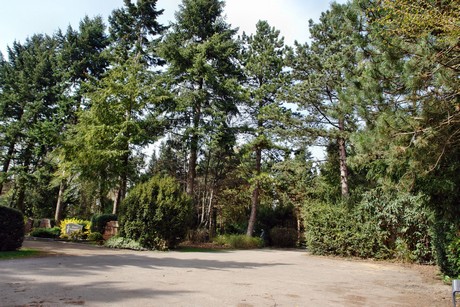 junkersdorf