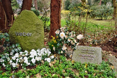 junkersdorf