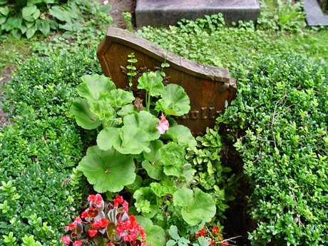 friedhof