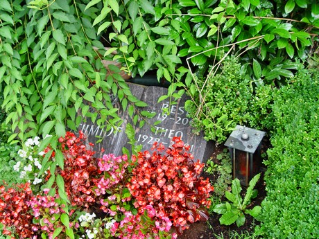 friedhof
