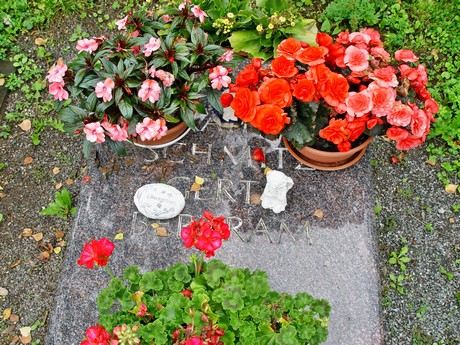 friedhof